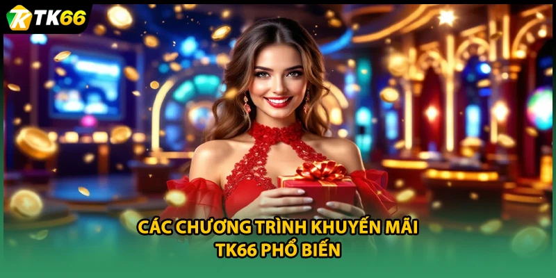 Các chương trình Khuyến mãi TK66 phổ biến