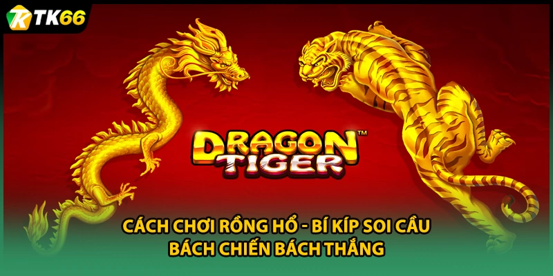 Cách Chơi Rồng Hổ - Bí Kíp Soi Cầu Bách Chiến Bách Thắng