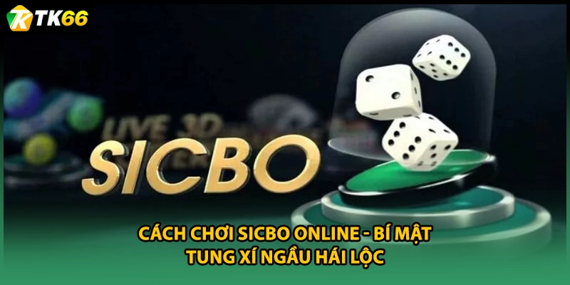 Cách Chơi Sicbo Online - Bí Mật Tung Xí Ngầu Hái Lộc