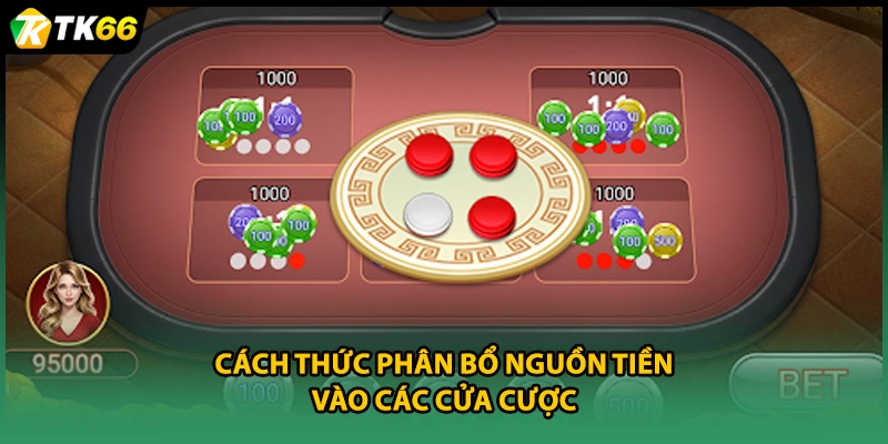 Cách thức phân bổ nguồn tiền vào các cửa cược