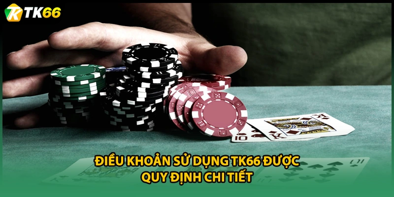 Điều khoản sử dụng TK66 được quy định chi tiết