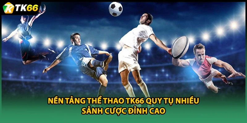Nền tảng Thể thao TK66 quy tụ nhiều sảnh cược đỉnh cao