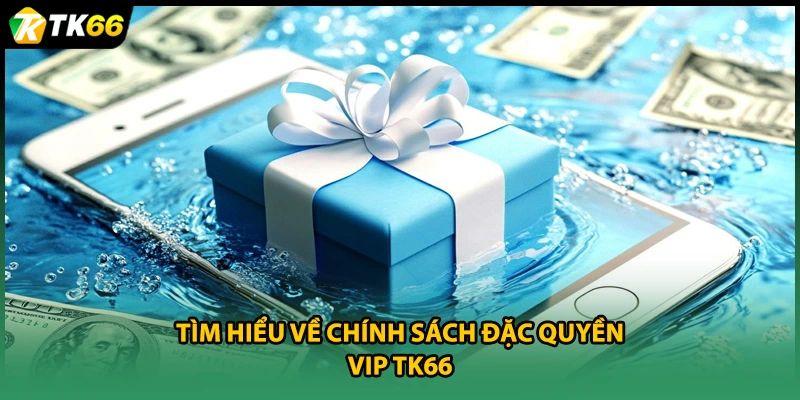 Tìm hiểu về chính sách đặc quyền VIP TK66