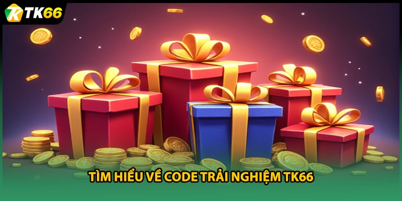 Tìm hiểu về code trải nghiệm TK66